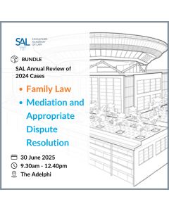 [Morning Sessions] SAL Annual Review of 2024 Cases on Family Law and Cases on Mediation and Appropriate Dispute Resolution