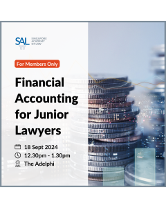 Financial Accounting for Junior Lawyers