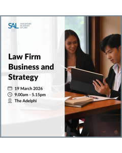 Law Firm Business and Strategy