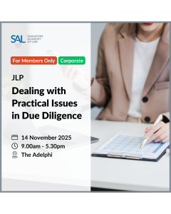 JLP - Dealing with Practical Issues in Due Diligence
