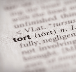 Evolving Tort Law in Singapore